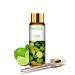 PHATOIL - Lime Fragrance Oil for Diffuser for Home Aromatherapy Soap Making Candle Making Burner Oil - 10ml Lime 10.00 ml (Pack of 1)