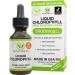 Chlorophyll Liquid Drops  Energy Boost | Immune System Support | Internal Deodorant | Altitude Sickness. Premium Quality  100% Natural, Potent, Minty Taste, 2X Absorption.