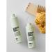 Authentic Beauty Concept Amplify Cleanser Shampoo or Conditioner for Fine Hair Increases Body and Volume Vegan and Cruelty Free Sulfate Free 300mL Shampoo 300 ml (Pack of 1) - Buy Online on GoSupps.com