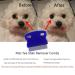 3 Pcs Pet Comb Tear Stain Remover Combs for Dogs - Gentle Dog Grooming Tool - Buy Online on GoSupps.com