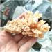 Rare Natural Raw Quartz Crystal Cluster Stones Crystal Point Specimen Home Decoration Raw Crystals Full of Texture (Size : 80-130g) - Buy Online on GoSupps.com