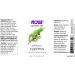 Now Foods Essential Oils Cypress 1 fl oz - Pure Natural Aromatherapy - Buy Online on GoSupps.com