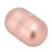 Volcanic Stone Facial Oil Absorbing Roller - Reusable Mini Massager for Greasy Skin - Buy Online on GoSupps.com