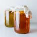 Buy Premium Fairy Kombucha Tea Mushroom | Organic SCOBY for 1-5L | Success Guarantee & Instructions - Buy Online on GoSupps.com