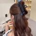 Black Hair Bow Clips for Women Girls Nonslip Bow Claw Clamps for Thick Thin Hair French Barrettes Hair Pins for Women Large Bowknot Hair Clip - Buy Online on GoSupps.com
