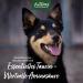 Aniforte Taurin for Dogs 100g - 100% Pure Amino Acids for Cardiovascular & Cell Metabolism Support - International Shipping Available - Buy Online on GoSupps.com