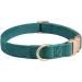 Petiry Soft Dog Collar with Safety Metal Buckle - Adjustable Velvet Corduroy Puppy Collar for Small Dogs | Forest Green | Neck 25-38cm S - Buy Online on GoSupps.com