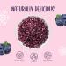  Honeyberry Freeze-Dried Blueberry Pieces 250g - Freeze-Dried Fruit - Dehydrated Blueberries - Dried Fruit - Freeze-Dried Blueberries for Pastries Cake Decoration Cereals and Desserts - Buy Online on GoSupps.com