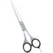 Focus World Hairdressers Scissors 6.5 Inch Barber Hair Scissors for Professional Hairdressing of Men & Women - Japanese Stainless Steel Silver 6.5 Inch 1.0 count - Buy Online on GoSupps.com