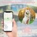 Ainiv Waterproof Silicone Case for Apple Airtag - Protective Cover for Dog & Cat Collars Pink Airtag Holder Ideal Pet Tracking Accessory - Buy Online on GoSupps.com