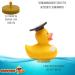 Funny Academic Bathing Duck with Diploma - Squeaky Duck with Doctoral Hat - Perfect Gift for University Exam Closing Ceremonies - Buy Online on GoSupps.com