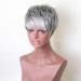 Lady Silver Grey Short Curly Wig for Women - Synthetic Natural Wavy Fluffy 8 Costume Hair - Buy Online on GoSupps.com