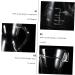 Zerodeko Glass Pitcher Glass Coffee Pour Over Coffee Maker Decanter High Tensile Silica Glass Large Office Glass Coffee Pot Glass Water Pitcher - Buy Online on GoSupps.com