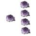 FOMIYES 5pcs Natural Crystal Cluster Natural Geode Cave Feng Shui Ornament Irregular Crafts Natural Minerals