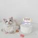 Cat Cake Topper Birthday Topper for Cat Party Decorations Happy Birthday Cake Topper Decoration for Pet Kitten Kitty Birthday Party Decorations 5 inch Colorful Cake Topper - Buy Online on GoSupps.com
