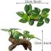 Smoothedo-Pets Aquarium Decoration | Betta Silk Blade Pad Driftwood Cave & Shell Accessories - Enhance Your Fish Tank! - Buy Online on GoSupps.com