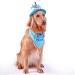Ushang Pet Extral Large Dog Birthday Cake Hat & Birthday Bandana Scarfs Set Blue  Dog Happy Birthday Hat with Colorful Candles  Large Dog Birthday Party Supplies Decorations Birthday Hat & Bandana - Buy Online on GoSupps.com