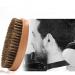 Boar Bristle Beard Brush with Solid Wood Handle - Tame and Soften Facial Hair (Brown) - Buy Online on GoSupps.com