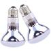 DERNORD Reptile Basking Heat Lamp Bulb for Bearded Dragon Tortoise Chicks 2-Pack 50W 50.0 Watt