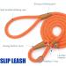 Lynxking Tow Lines for Dogs - Durable Dog Leash for Small Medium & Large Dogs (Orange 1.3cm x 240cm) - Ideal for Training & Walking - Buy Online on GoSupps.com