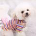 AMAONE Chihuahua Dog Coat - Leopard Bowknot Winter Jacket for Small Dogs - Knitted Pet Clothing (Multi-Color Size M) - Buy Online on GoSupps.com