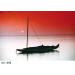 Cokin A665 Gradual Fluo Red 2 Filter - Enhance Your Photography with Vibrant Red Tones - Buy Online on GoSupps.com