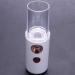 RIYAN Portable Face Bottle Nano Steamer Face Sprayer 30Ml Face Beauty Instruments(White) - Buy Online on GoSupps.com