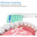 6 Pack Replacement Brush Heads Compatible with Philips Sonicare E-Series Essence, Xtreme, Elite, Advance, and CleanCare Electric Toothbrushes - Toothbrush Replacement Heads Refills - Buy Online on GoSupps.com