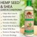 OKAY Hemp Seed & Shea Softening Leave In Conditioner - Stimulates Hair Growth, Prevents Breakage - 8oz - Buy Online on GoSupps.com
