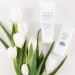 VASANTI Brighten Up Exfoliator & Moisturizer Kit | Paraben-Free Vegan Skincare | International Shipping Available - Buy Online on GoSupps.com
