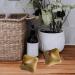Buy Hand Massage Tools - Hexagonal Ball Vietnam Fragrant Wood Reflexology Massage for Foot & Hand Stress Relief - Buy Online on GoSupps.com