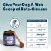 Four Leaf Rover Seven 'Shrooms - Organic Mushroom Complex for Dogs - Immune Support with Beta Glucans - Vet Formulated - Buy Online on GoSupps.com