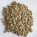 Raw Coffee Beans Natural Beans 300g - Buy Online on GoSupps.com