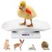 Agatige digital scale for food cats dogs puppies weight measurement baby scale with LCD display for small pets up to 10kg