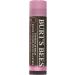 Burt's Bees Pink Blossom Tinted Lip Balm with Shea Butter - 100% Natural Formula - Buy Online on GoSupps.com