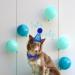 Shop Dher Pet Birthday Set - Gold Sequin Hat & Decor for Dogs & Cats - Festive Party Accessories (Blue) - Buy Online on GoSupps.com