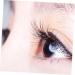 MAGICLULU 5 Boxes Glitter False Eyelashes Kit Para Pesta as Glitter Spike Lashes Eye Lashes Glitter Colored Lash Extensions Makeup Lashes Women s Curly High-grade Fiber Makeup Set - Buy Online on GoSupps.com