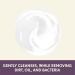 Aveeno Absolutely Ageless Nourishing Daily Facial Cleanser - Blackberry Extract - 5.2 fl. oz - Buy Online on GoSupps.com