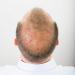 Power Fibres - Cheveux pais ou barbe en quelques minutes ! Blond - pour un r sultat naturel - Buy Online on GoSupps.com
