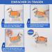 Eyin Life Jacket for Medium Dogs - Adjustable Swim Vest with Strong Buoyancy & Reflective Handle - Lightweight Swimming Aid (Orange M) - Buy Online on GoSupps.com