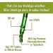 Natural Chlorophyll Elixir Pure Alfalfa 50ml | Vegan Preservative-Free Highest Organic Availability - Buy Online on GoSupps.com