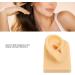 Silicone Ear Model Lifelike Artificial Silicone Ear Model Simulation Elastic for Display (Right) - Buy Online on GoSupps.com