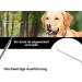 Interwell Space Tartar Remover for Dogs | Stainless Steel Dental Tool & Kausnack Alternative | Effective Tartar Cleaner for Pets - Buy Online on GoSupps.com
