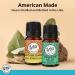 Wild Essentials Focus 100% Pure Essential Oil Synergy Blend - 10ml Therapeutic Grade for Mental Clarity Study & Work - USA Made - Buy Online on GoSupps.com