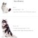 Personalized QR Code Cat Collar Tag - Emergency Contacts - Silicone Pet ID for Small Breeds - Sunset Chevron Pattern - Buy Online on GoSupps.com