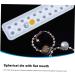 Operitacx Sphere Pendant Craft Earring Bracelet Ball Round for and Making Mold Beads Molds DIY Silica Bead Transparent 23x6x2cm - Buy Online on GoSupps.com