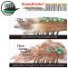 NuWay 4HAIR Traveler Patented Travel Brush (Dark Green) - Perfect for U.S. and International Trips - Buy Online on GoSupps.com