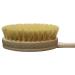 Yerba Prima Tampico Skin Brush - Natural Vegetable Fiber Bristles for Dry Skin Brushing - Buy Online on GoSupps.com