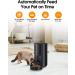 WOPET Automatic Cat Feeder  FT70 Plus Pet Dry Food Dispenser with Desiccant Bag for Cats and Dogs  Timed Cat Feeder Programmable 6 Meals Per Day  10s Voice Recorder Black - Buy Online on GoSupps.com