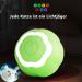 Peticularz Cat Toys - Self-Employment Electrical Powerball 2.0 | Interactive Wloom Intelligence Magic Ball for Cats - Green with Petals - Buy Online on GoSupps.com
